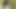 Selfie parkta önce lezbiyen kedi binmek açık romantik çift seks
