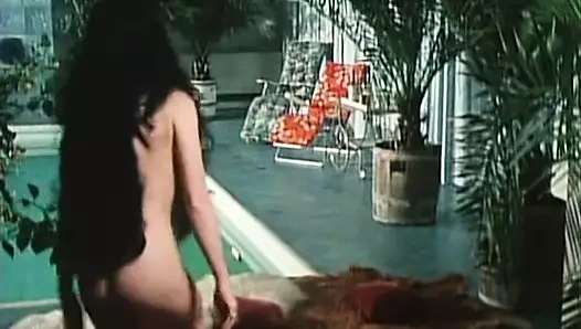 Die Amouroesen Abenteuer des Mr. O. - Full Movie