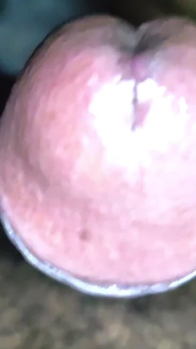 Büyük memeli kız beni pornstar gibi emiyor | Bölüm 1
