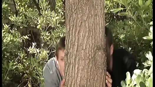 Pv - sprey ev kadınları