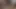 Üvey kız kardeş yarak emiyor ve üvey erkek kardeşini sikiyor oh evet sik beni
