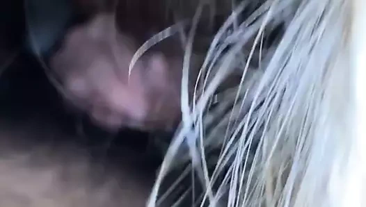 Arab gets onun çük emdi tarafından beyaz kız