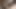 Üçlü japon yui ve konomi size arzulu oyuncaklar bırakan ateşli dölleme eylemi sunuyor