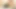 Southernstrokes çok güzel twink lior hod zonklayan yarağını tek başına okşuyor