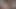 Örümcek tarafından korkan oda arkadaşları büyük zenci biniyor