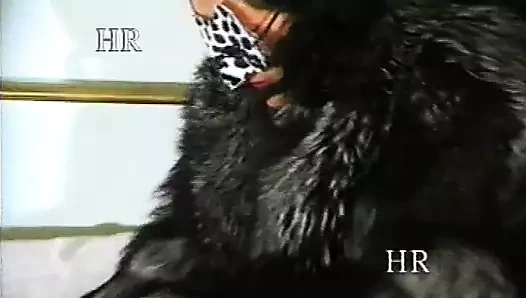 Kuzenimi porno videolarında keşfettim