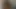 Sissy eemii onun dibini hissetmeni umuyor