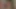 sürtük ile dildos içinde pislik ve KEDİ