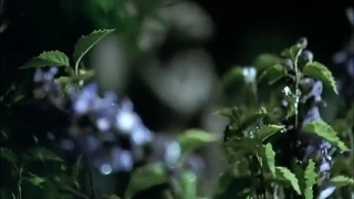 Taylor Swift - seks videosu