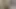 Dostum sıcak kız arkadaşının kıçını yalamaya karşı koyamıyor