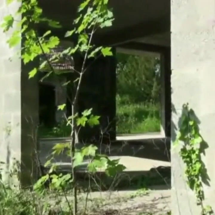 Eşcinsel değil ama seni emmek için tamam ve daha fazlası