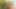 Seksi iç çamaşırlı çarpıcı ts Julia Alves makineye monte edilmiş dildo alıyor