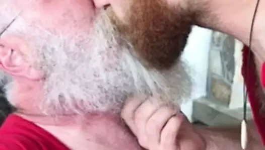 sakallı ayılar öpüşme