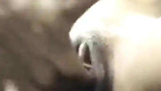 Aman tanrım sert bir ihtiyacım var