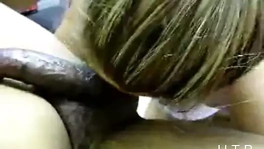 Siyah taşaklama h.t.b.