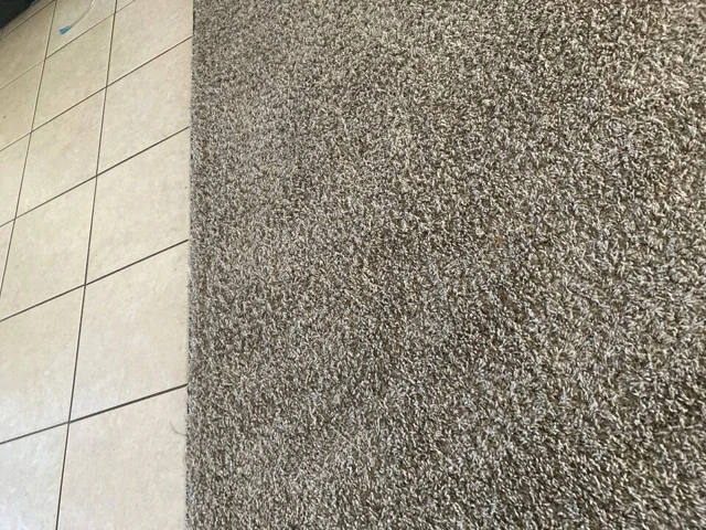 vibratör içinde sıkı göt