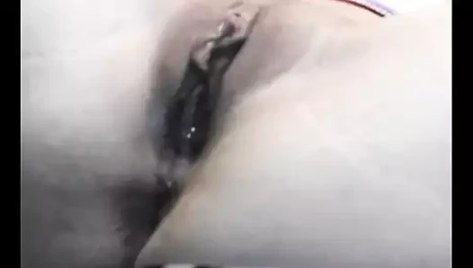 Geyik benim kullanılmış kedi yeme