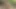 Sevimli genç esmer sert bir yarağın tadını çıkarıyor