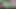 İrlandalıların şehveti