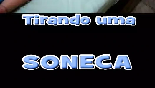 Soneca