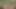 Busty Alman üvey siyah horoz çarptım