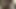 hotwife binicilik horoz seviyor