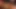 Foxy babes vahşi bir üçlü sert bir penis paylaşmak