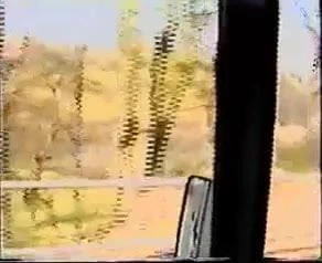 Bonkmobile - balina köprüsünün paulası