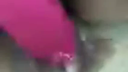 Başlarken onu kedi ıslak