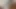Kedi ortalığı karıştırdı