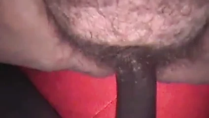 Latina kahrolası tekrar