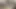 Hintli kadın evde yalnız bulunduktan sonra kocası tarafından sert sikiliyor