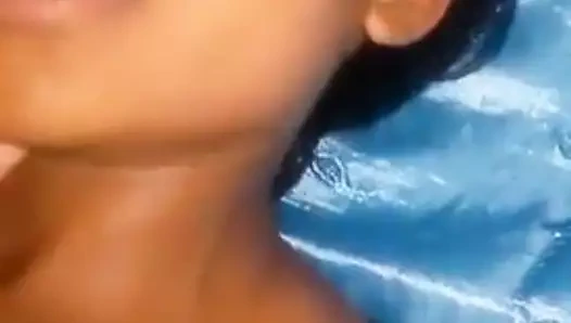 Afrika tıraşsız kedi