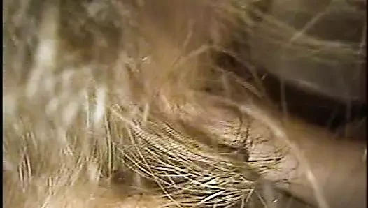 Vintage retro alman amatör - günlük porno dozunuz