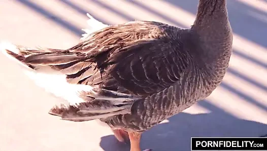 Pornfidelity abanoz bebek ana foxxx sikikleri büyük beyaz çük