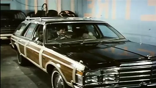 Garaj kızları (1980)