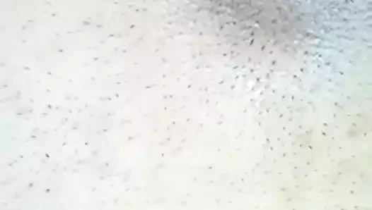 Morena safada dedilhando a xota