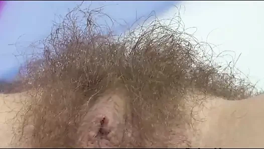 Kıllı amcık mahonia 2