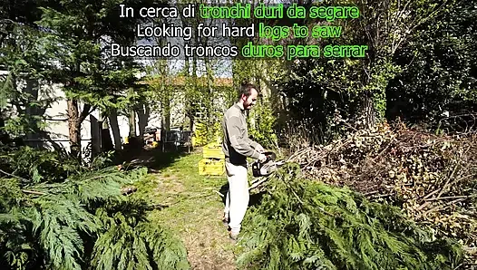 Looking for HARD TRUNKS to saw!(amateur sex in the woods)