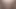 Domuz sarışın esaret