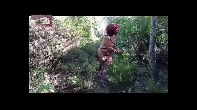 Ormanda domine ediliyor 3
