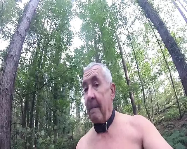 Ormanda edepsiz oyun