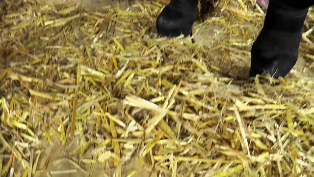 Hard'dan Anal'a, Dış Mekana, Arabada Derleme