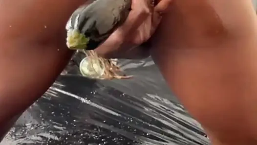 Anal yumruk sokma, sarkma, genişletme ve büyük fışkırtmalı fışkırtma ve dölleme