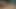 Ama bu küçük sürtüğün enayisi var