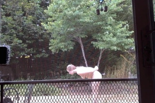 çıplak dövüş sanatları