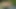 Arkadaşıyla parkta bir porno videosu yapıyor