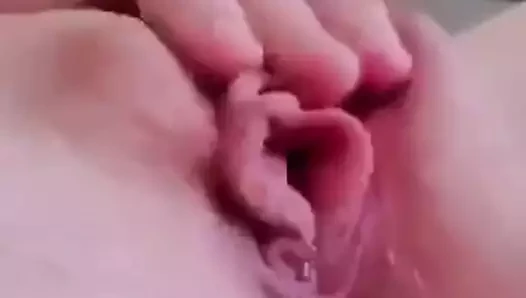 ıslak kedi yakın çekim kapalı