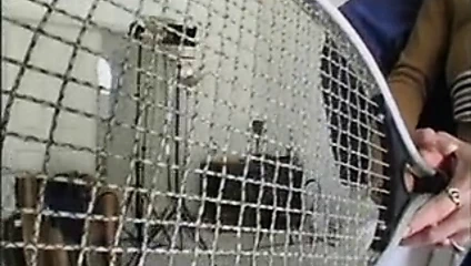 Bogas vs olgun tenis hocası