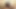 Neredeyse oturma odasında sikişirken yakalanıyordum, desi kamera kayıt koleji 18+